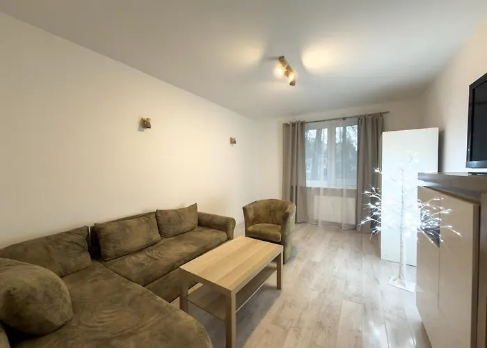 Komfortowe 2 45 M, Lsm, Strzezony Parking W Cenie *